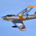 F86 Sabre profile picture