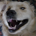 the_kenc profile picture