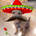 Who Dat? profile picture