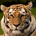 Joe2922 profile picture