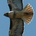 Hawkinvest profile picture