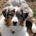 Valleywood profile picture