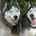 Arch_Duke_Ferdinand profile picture