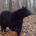 big8pointer profile picture