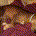 CEDUP profile picture