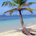 BAHAMAS1 profile picture