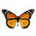 anivale profile picture