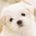 SamsSuperCereal profile picture