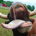 Fear the cow profile picture