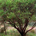 Manzanita Research profile picture