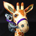 Bobstert profile picture