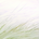 pbst profile picture