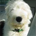 Slade_01 profile picture