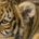 jasonm71 profile picture
