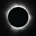 Dividends From The Moon profile picture
