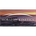 Horizon Kinetics profile picture