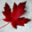 CAD Eng profile picture