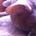 acumen5 profile picture