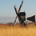 Windmill Lane profile picture