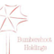 Bumbershoot Holdings profile picture
