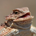 Orangejulius profile picture