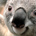frisco7 profile picture