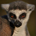 LovesCoffee profile picture
