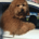 alchemist11 profile picture