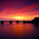 CDon55 profile picture