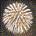 @rdent profile picture