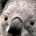 shortseller 67 Ideas profile picture