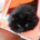sickkat3 profile picture