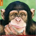 jesjessie profile picture