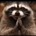 MrGruust profile picture