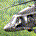 Teats29 profile picture