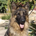 Erman profile picture