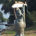 RostyC profile picture