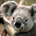 sgtextreme profile picture