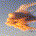 Xempler profile picture