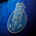 Pegasus5 profile picture
