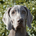 upnorthwi profile picture