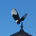 JesseC27000 profile picture