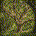 nsei profile picture