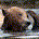 Watblieft profile picture