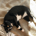 HootieTreads profile picture