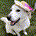 IglooGM profile picture