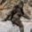 SasquatchSuperViking profile picture