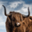 Rational Bull profile picture