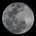 Moonlight117 profile picture