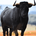Lemame Stock Picks profile picture